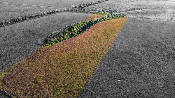 Angleton, TX 77515,0 County Road 212