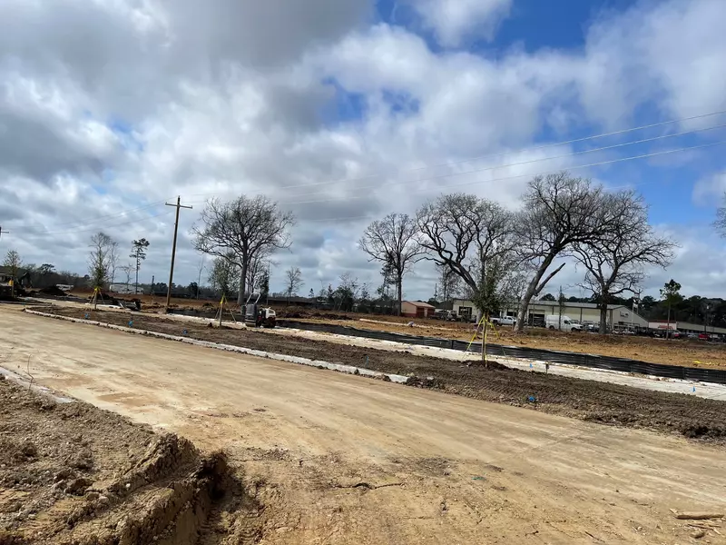 11779 Ruffian DR, Willis, TX 77318