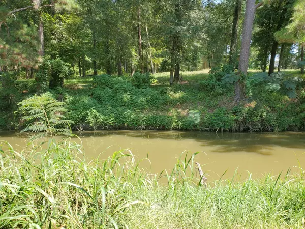 Coldspring, TX 77331,TBD Lot 14 Beaver Den DR