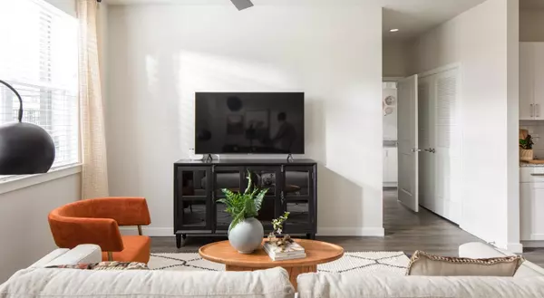 12111 Main ST #3101, Houston, TX 77035