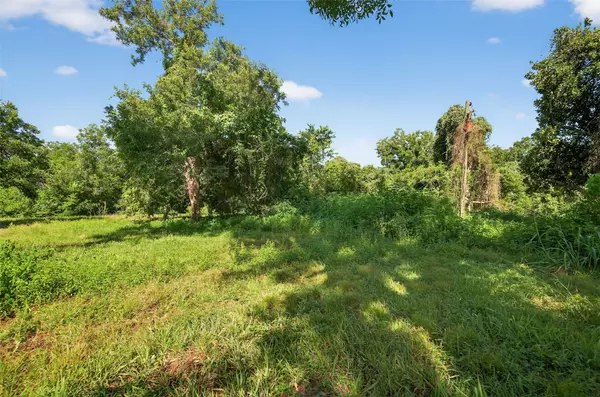 Rosenberg, TX 77471,1007 Evans RD