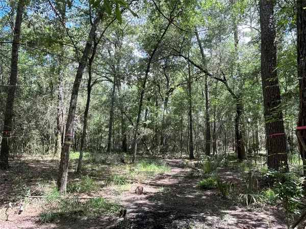 Conroe, TX 77385,11960 White Oak RUN