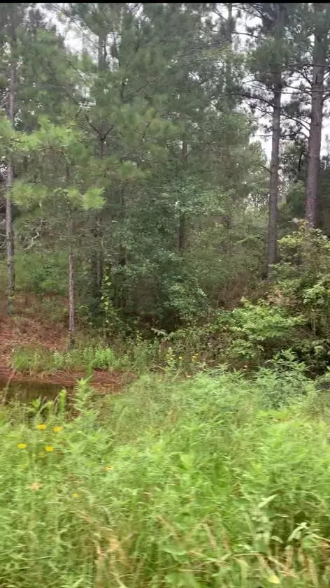 Hempstead, TX 77445,0 Broken Arrow CIR