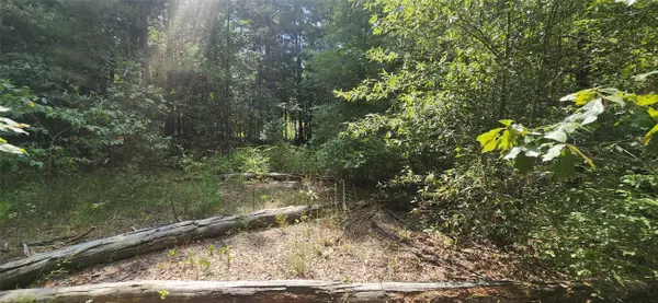 Hooks, TX 75561,00 Tall Oak RD