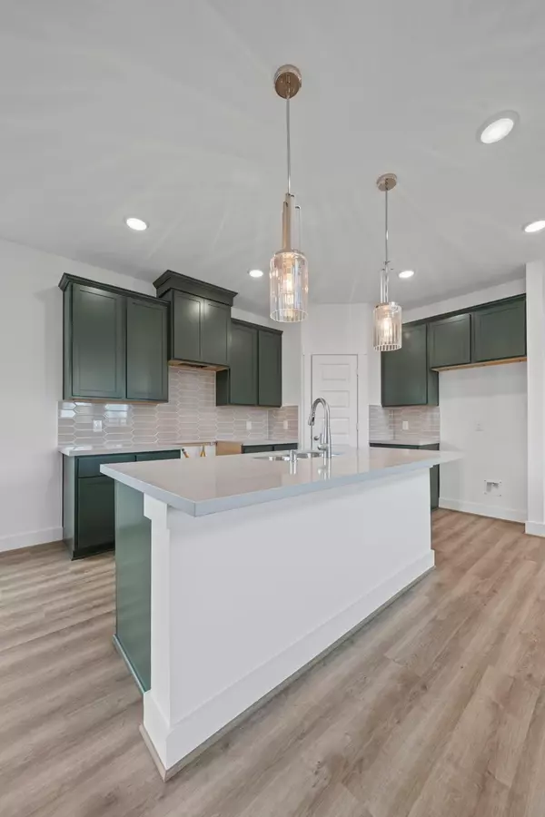 Tomball, TX 77377,21446 Gazania Daisy LN