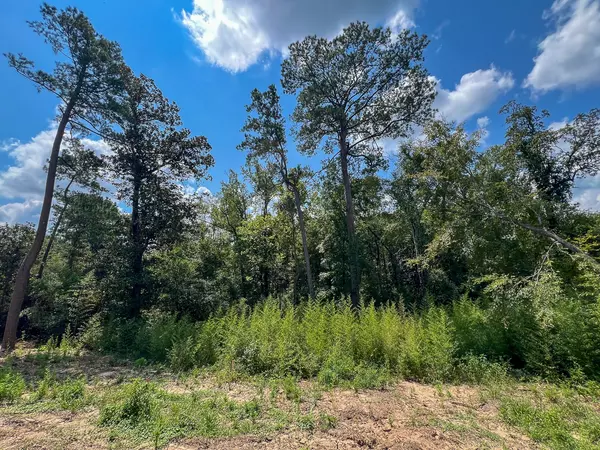 Burkeville, TX 75932,1 Highway 87