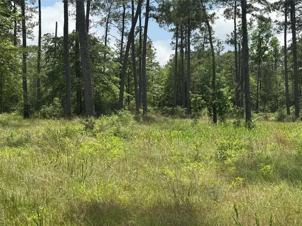 Brookeland, TX 75931,084 Private Road 6026