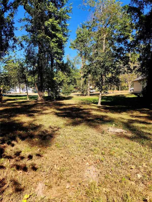 14029 Jamaica, Willis, TX 77318