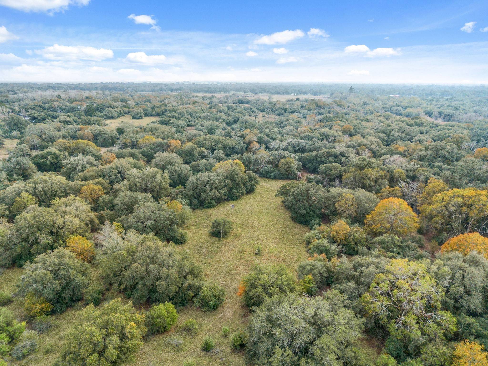 Louise, TX 77455,00 Dewberry Lane