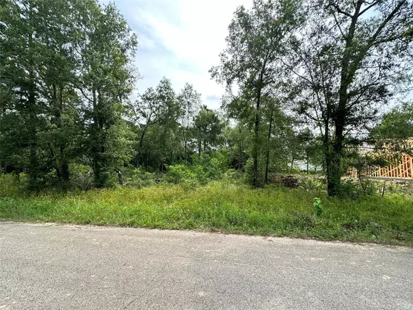 Conroe, TX 77385,0 Spindle Oaks DR