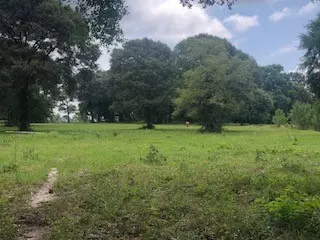 Point Blank, TX 77364,000 Counts RD