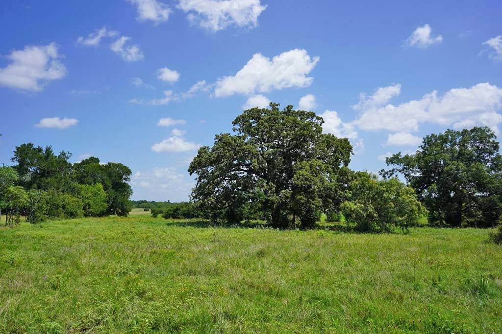 Navasota, TX 77868,00050 County Road 419