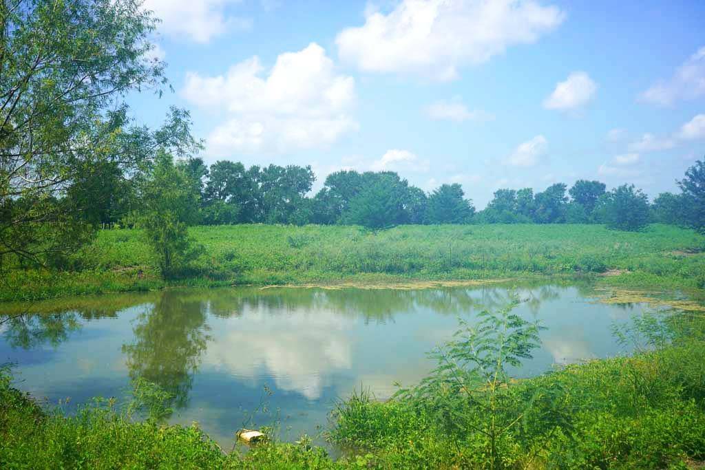 Navasota, TX 77868,00050 County Road 419