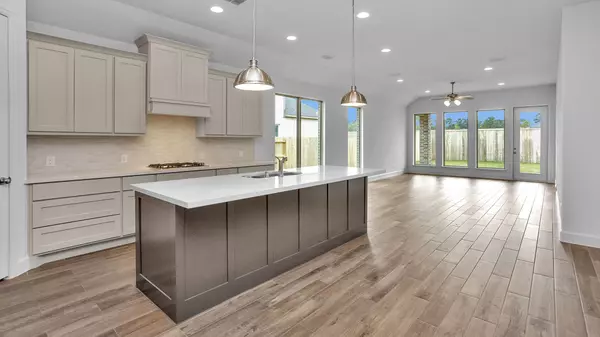 Magnolia, TX 77354,14715 Band Tailed Pigeon CT