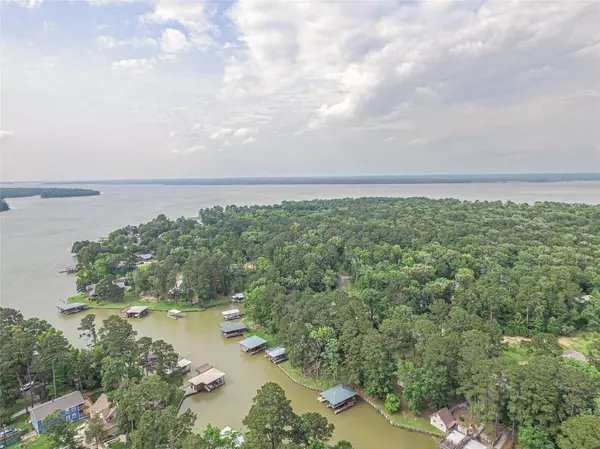 Point Blank, TX 77364,70 Lower Cove DR