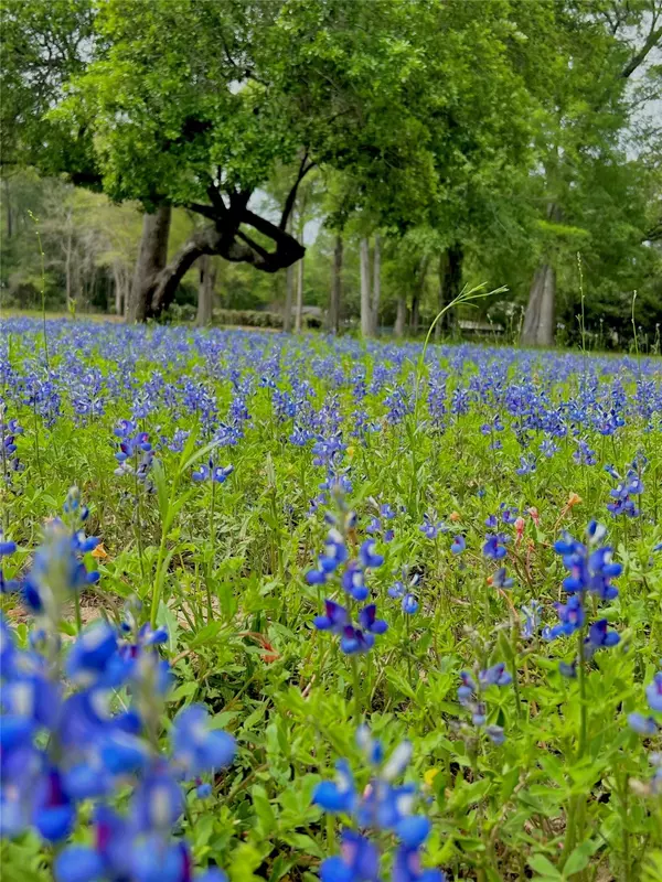 1011 N Nellius ST, Woodville, TX 75979