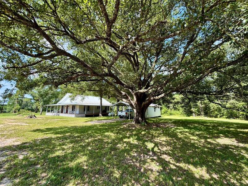 11085 FM 256 E, Colmesneil, TX 75938