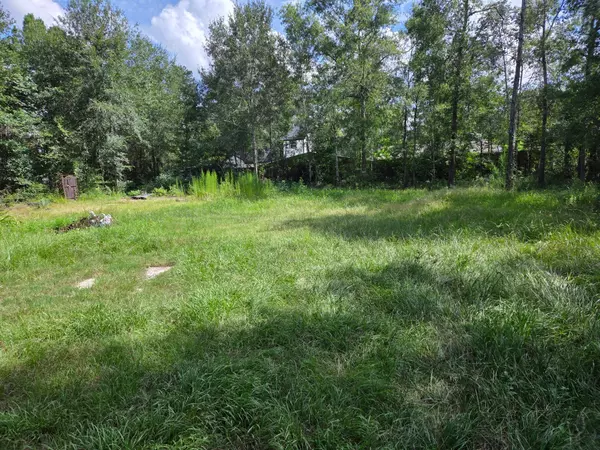 0 June, Shepherd, TX 77371