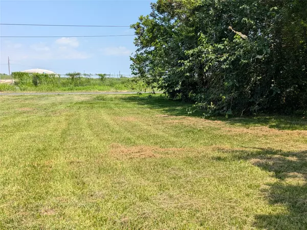 Texas City, TX 77591,0 Orchid