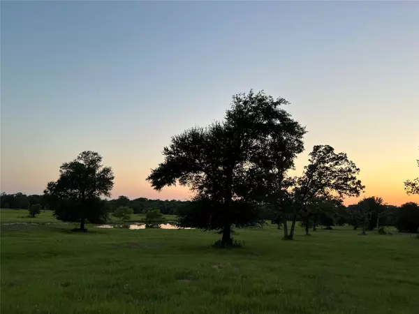 Bedias, TX 77831,19585 FM 2620