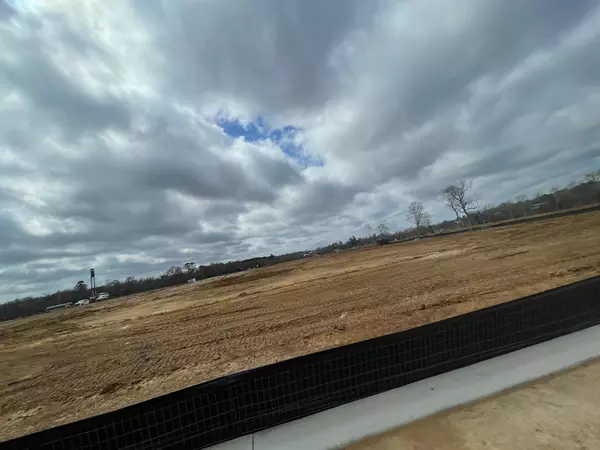 Willis, TX 77318,12393 Shadow Fox Dr DR