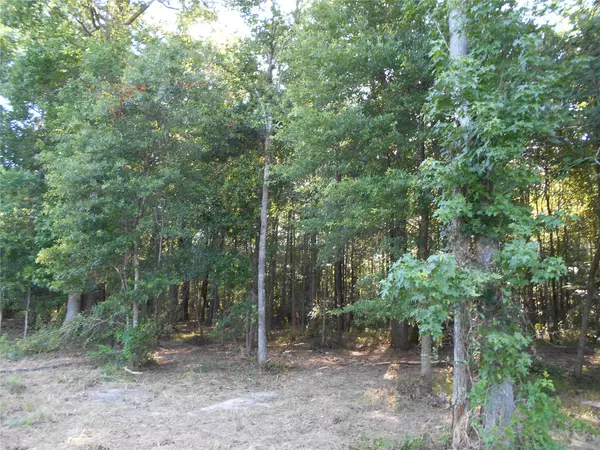 Batson, TX 77519,TBD Farm Road 770