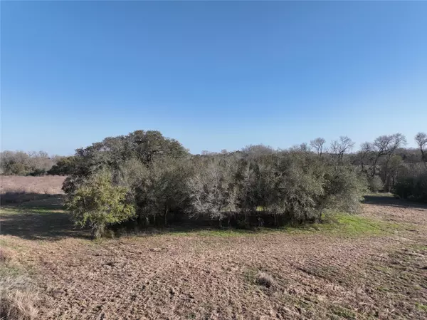 5659 Fm-60, Somerville, TX 77879