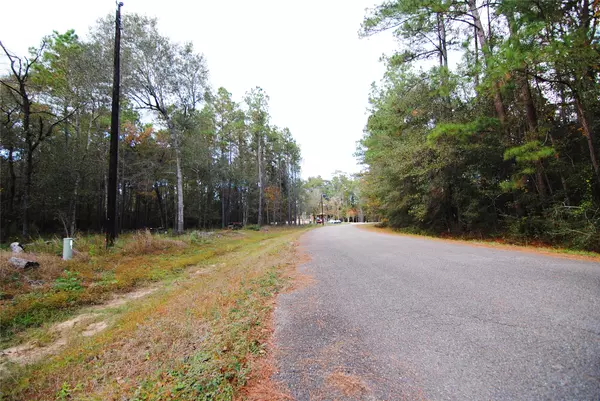 Magnolia, TX 77355,24445 Pipestem DR
