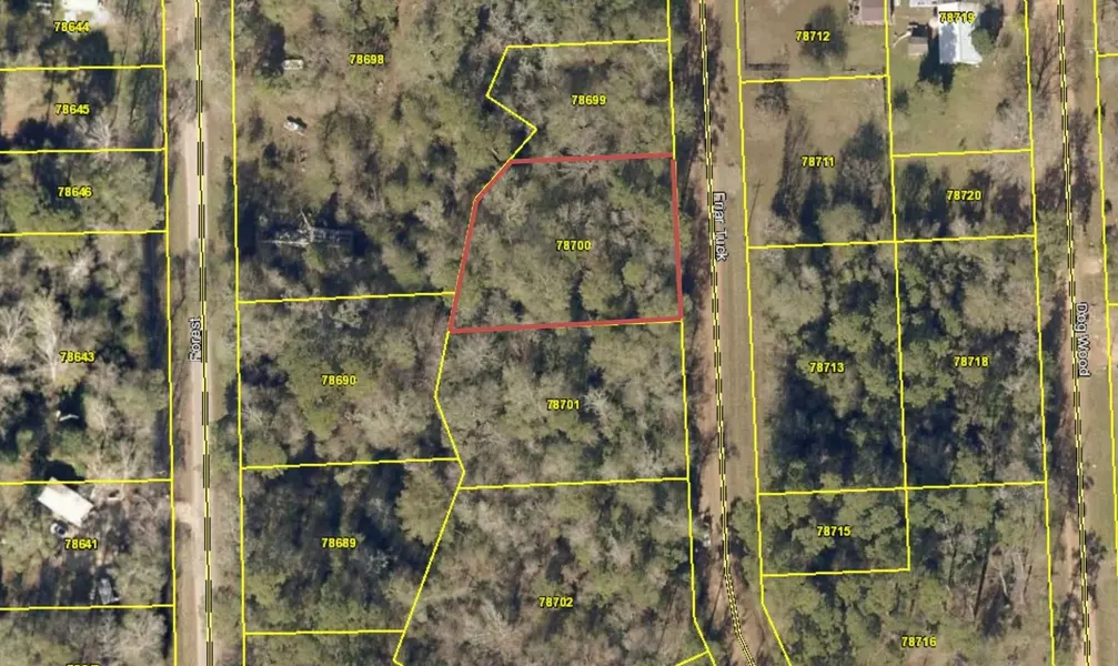 0 Friar Tuck ST, Shepherd, TX 77371