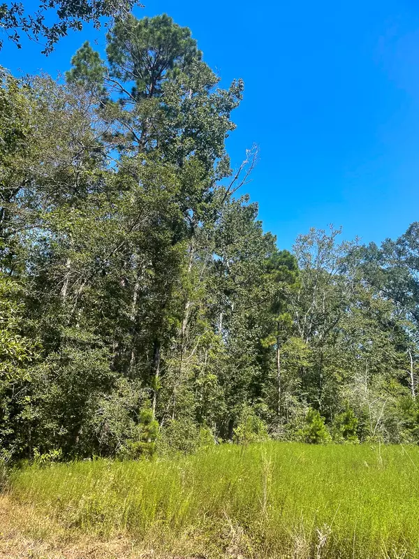 Corrigan, TX 75939,000 Union Springs Road