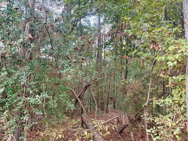 Livingston, TX 77351,TBD Magnolia Duke DR