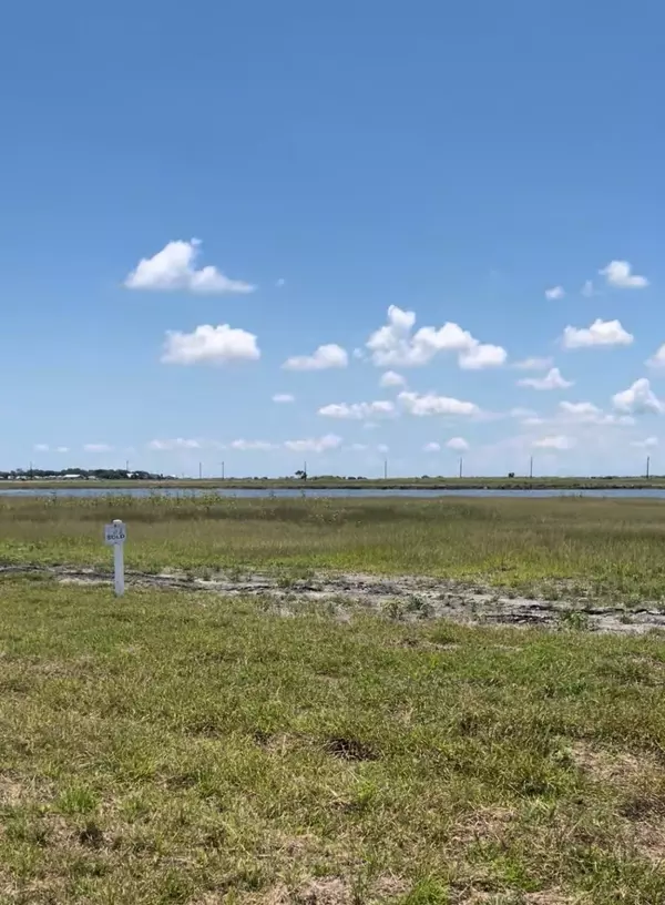 Port Lavaca, TX 77979,TBD Puppy Drum LN LN