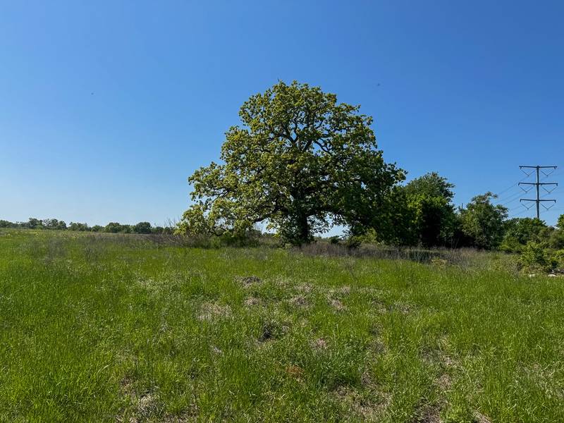 Tract # 1 County Road 123, Iola, TX 77861