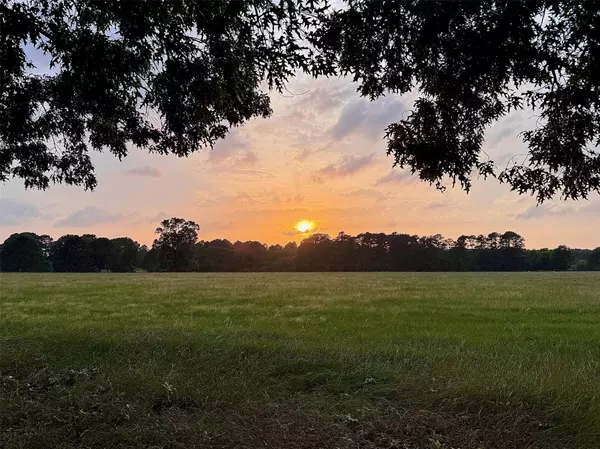 New Waverly, TX 77358,938 Jones Road