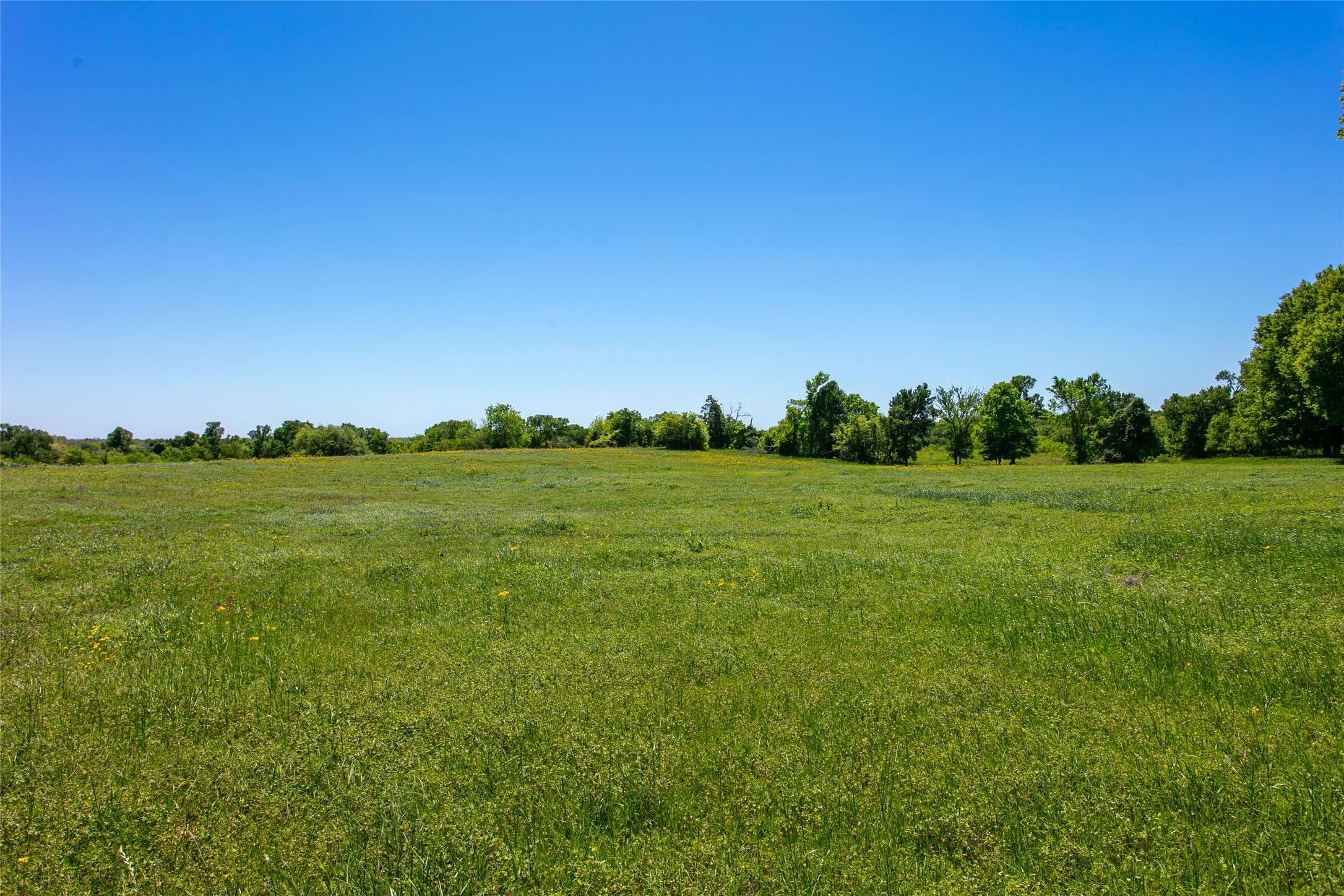 Lot 17A Brazos CT,  Caldwell,  TX 77836
