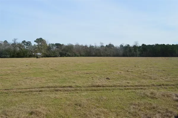 Conroe, TX 77302,TBD 001 Wiggins