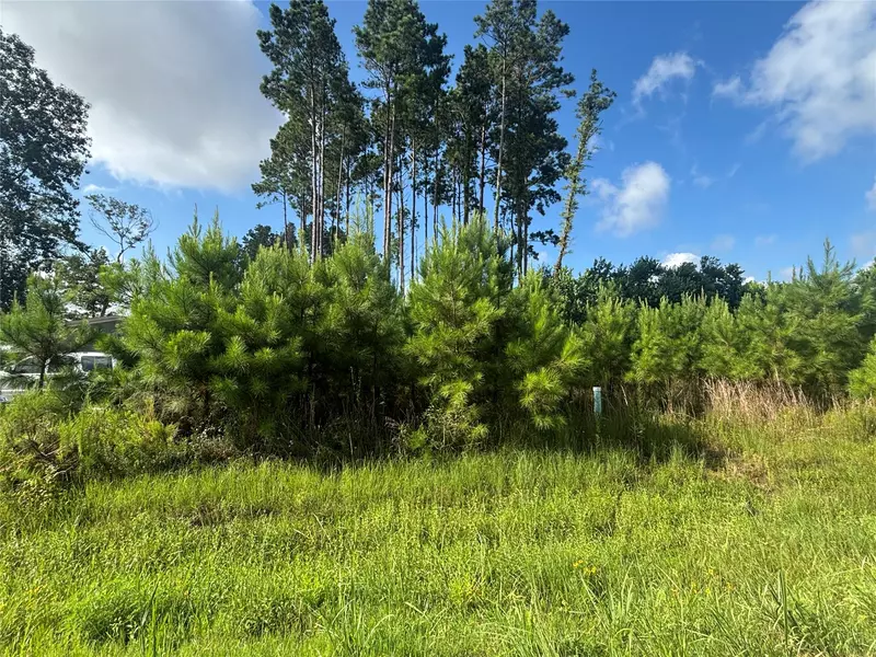 794 Road 5252, Cleveland, TX 77327