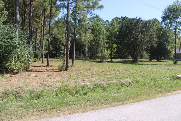 Sour Lake, TX 77659,715 Dayna LN