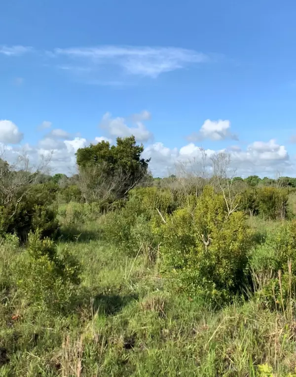 Anahuac, TX 77514,0000 Jenkins Road