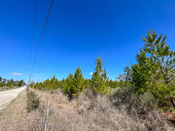 Huntsville, TX 77320,0 Wallace