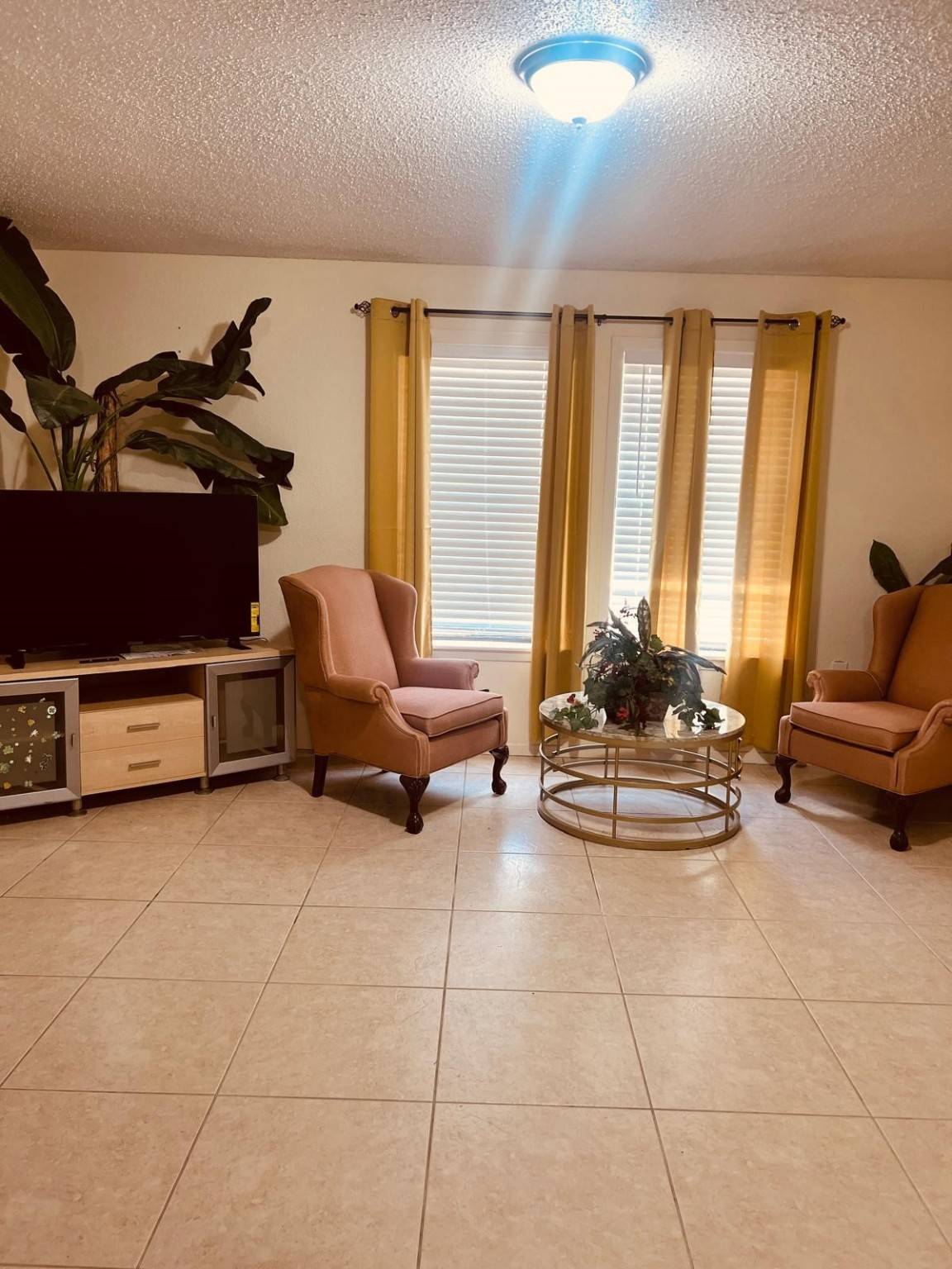 Katy, TX 77494,25231 Roesner LN