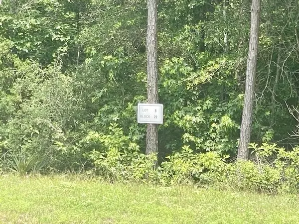 00000 Lonestar RD, Huntsville, TX 77340
