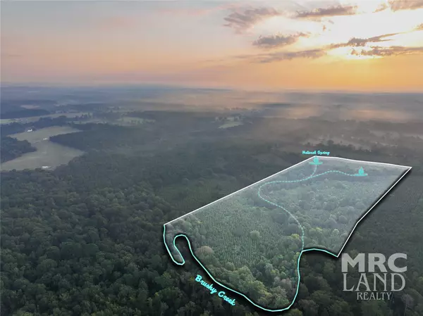 Center, TX 75954,00 County Road 3173