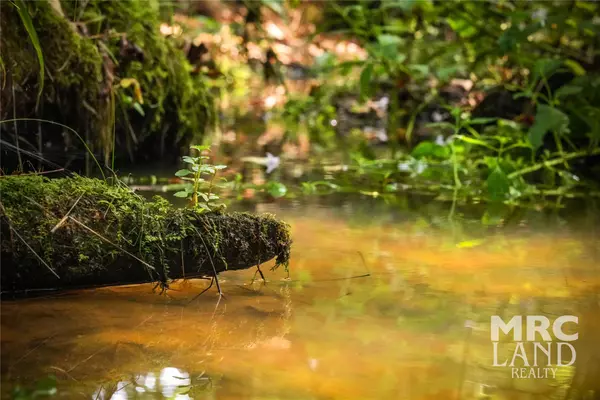 Center, TX 75954,00 County Road 3173