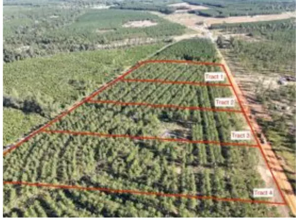 Livingston, TX 77351,0 Richardson RD E