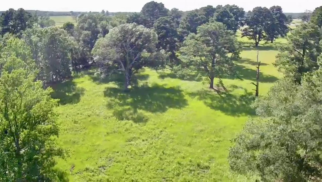 0 Live Oak CT, Crockett, TX 75835