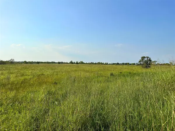 Danbury, TX 77534,14202 County Road 210