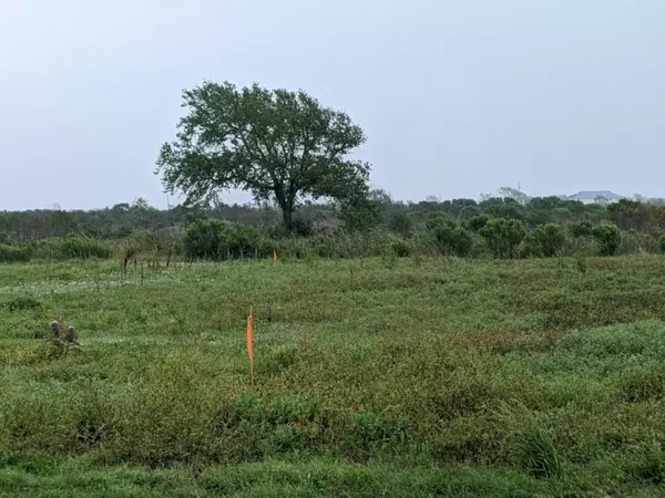 Crystal Beach, TX 77650,1076 Lagoon DR