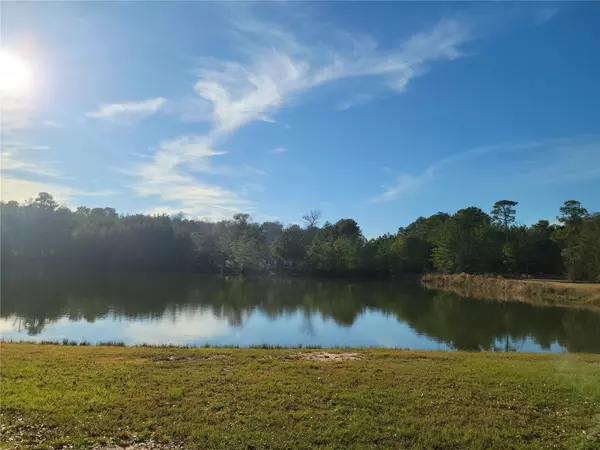 17683 W Terrace Oaks DR,  Waller,  TX 77484