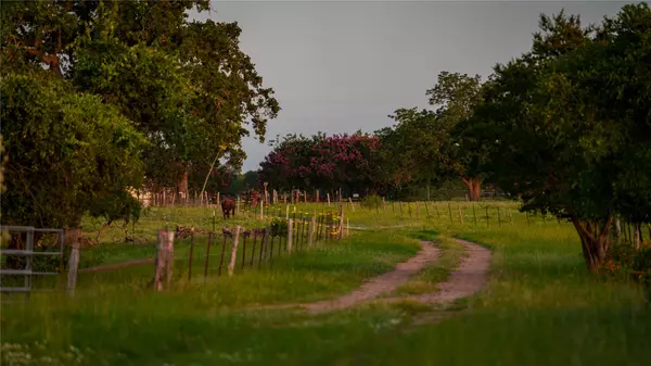 Bastrop, TX 78602,470 Glass LN